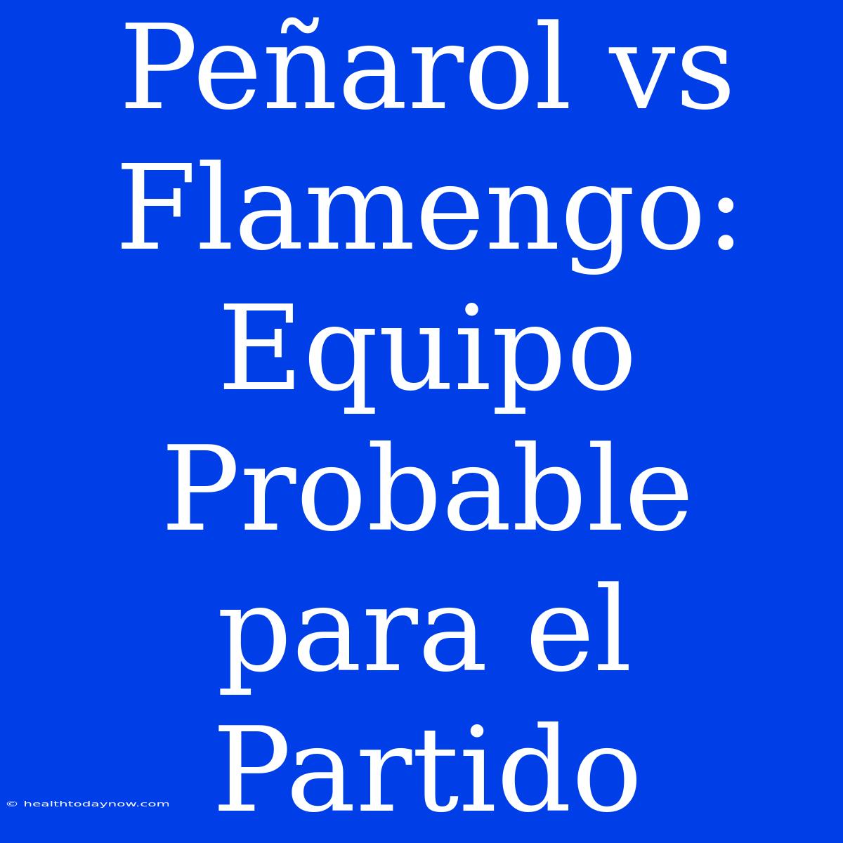 Peñarol Vs Flamengo: Equipo Probable Para El Partido