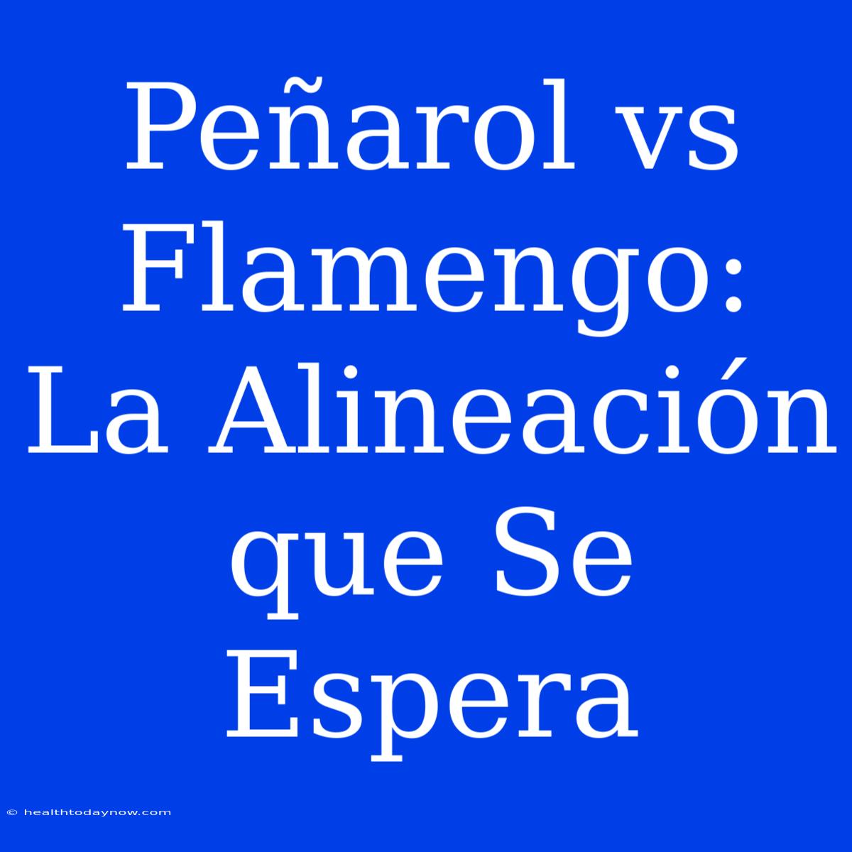 Peñarol Vs Flamengo: La Alineación Que Se Espera