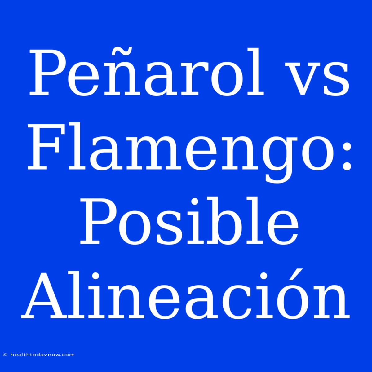 Peñarol Vs Flamengo: Posible Alineación