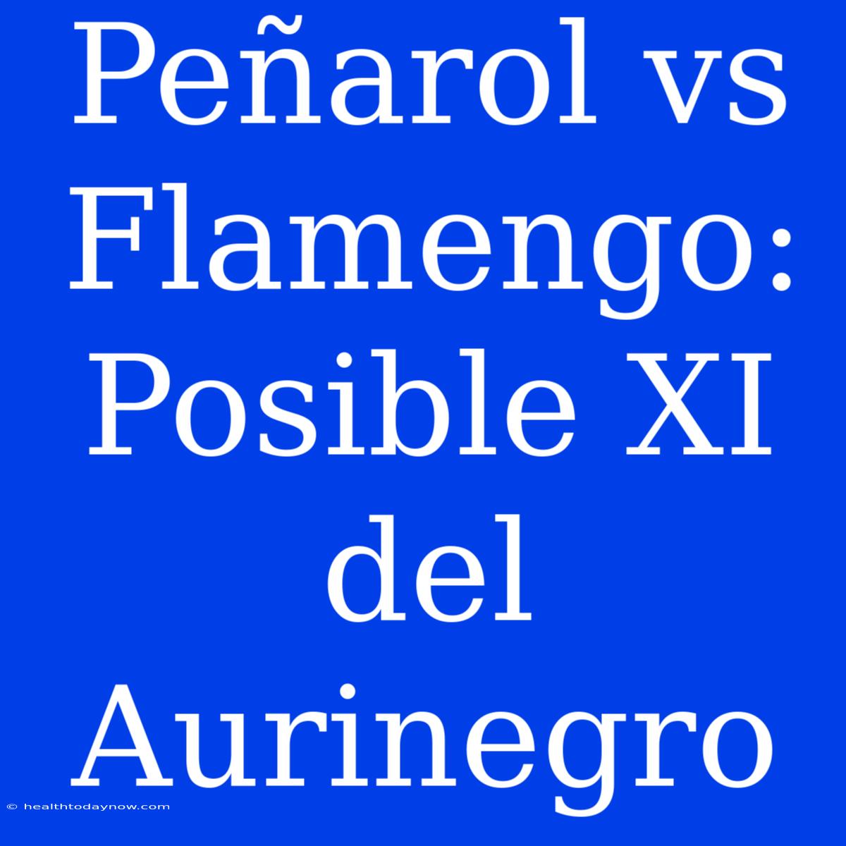 Peñarol Vs Flamengo: Posible XI Del Aurinegro