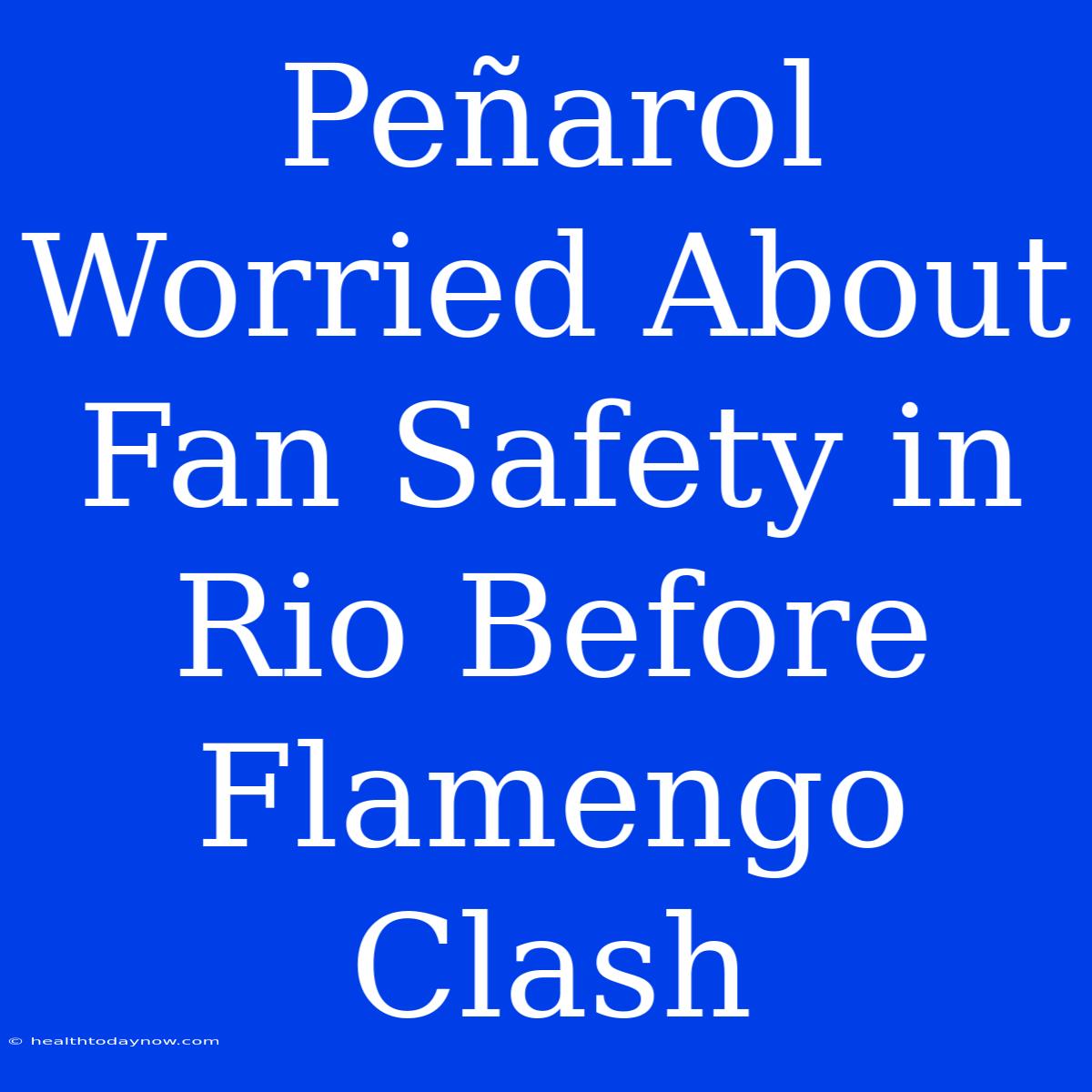 Peñarol Worried About Fan Safety In Rio Before Flamengo Clash