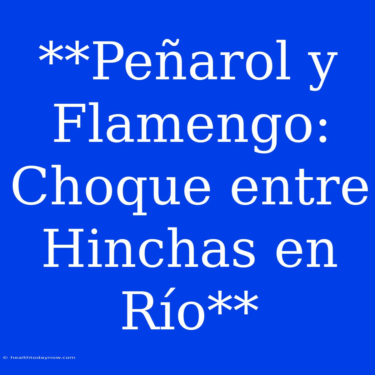 **Peñarol Y Flamengo: Choque Entre Hinchas En Río** 