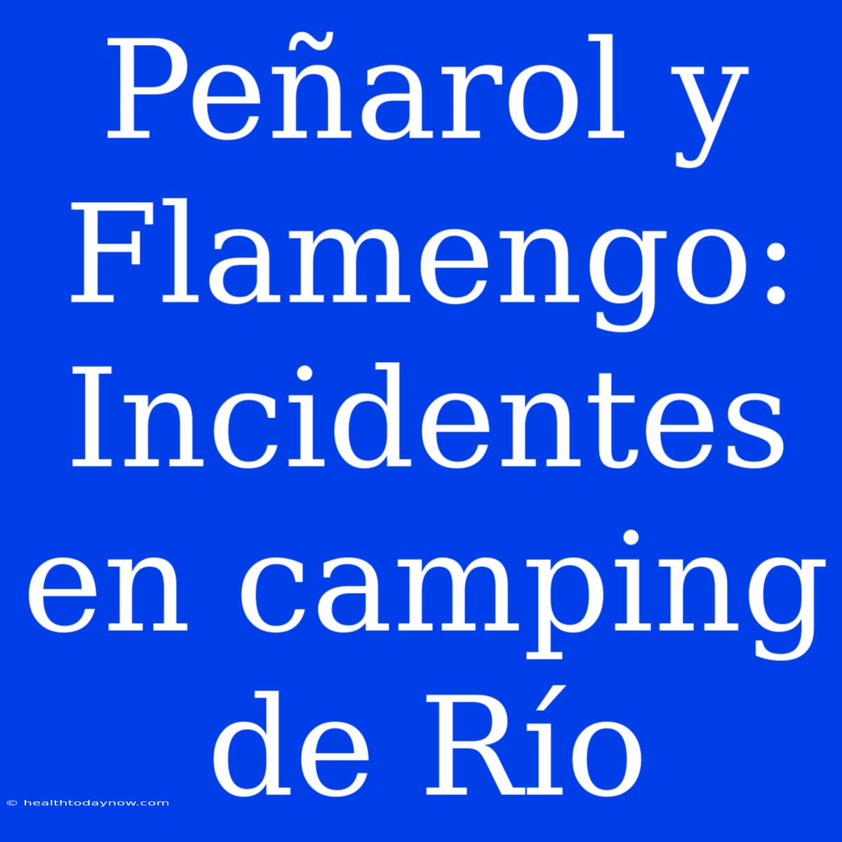 Peñarol Y Flamengo: Incidentes En Camping De Río