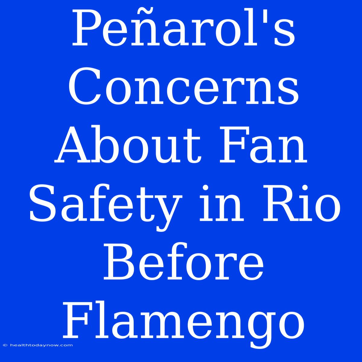 Peñarol's Concerns About Fan Safety In Rio Before Flamengo