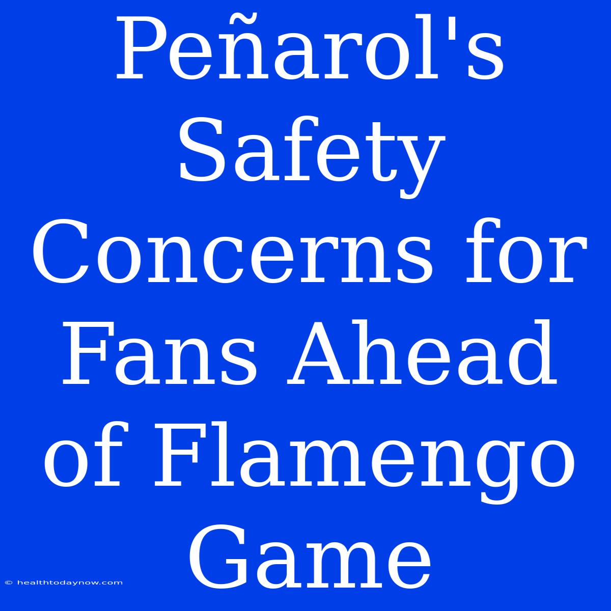 Peñarol's Safety Concerns For Fans Ahead Of Flamengo Game 