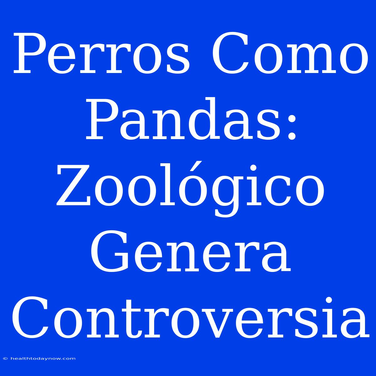 Perros Como Pandas: Zoológico Genera Controversia 