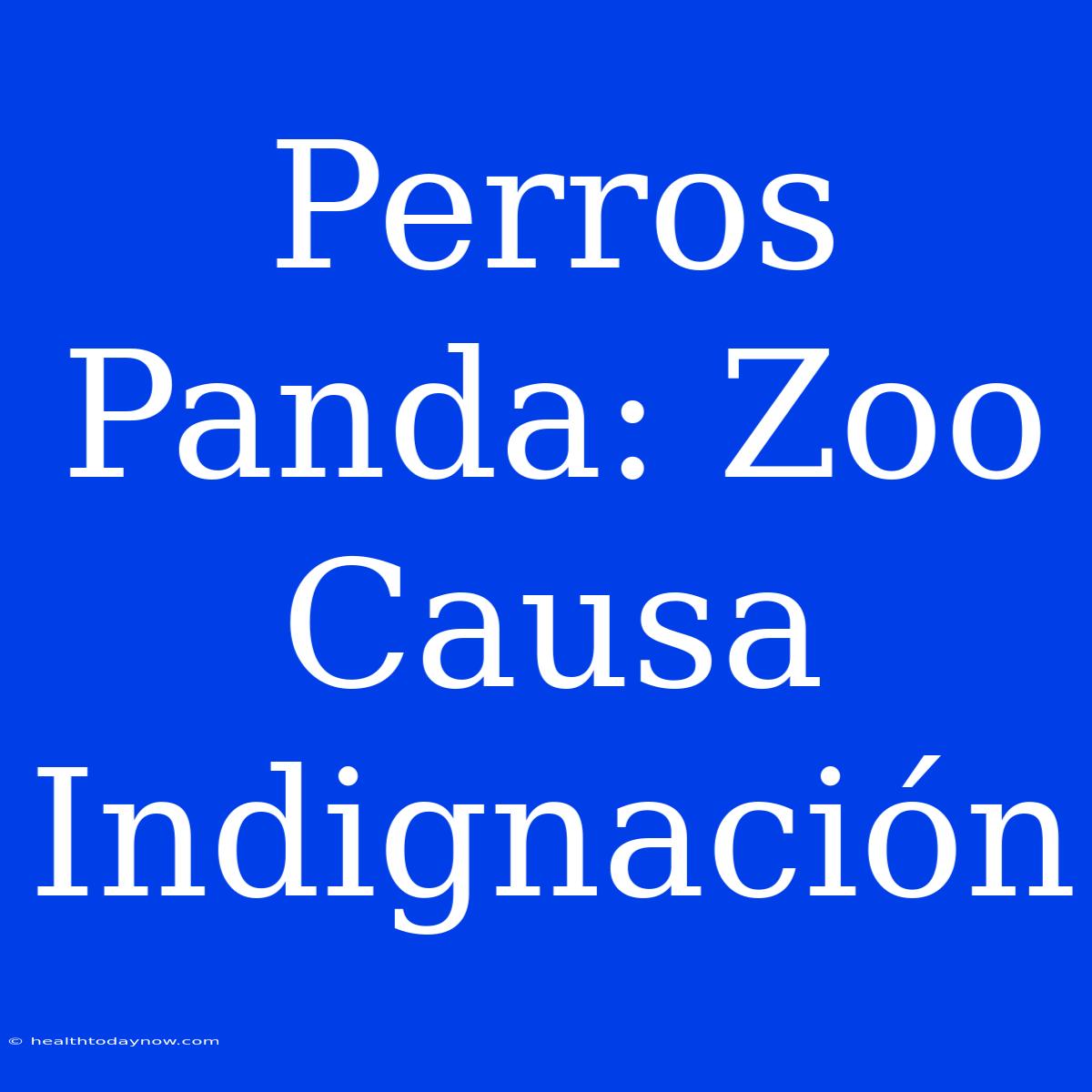 Perros Panda: Zoo Causa Indignación