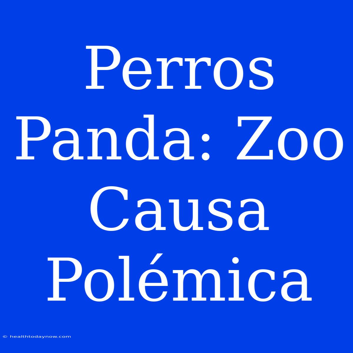 Perros Panda: Zoo Causa Polémica