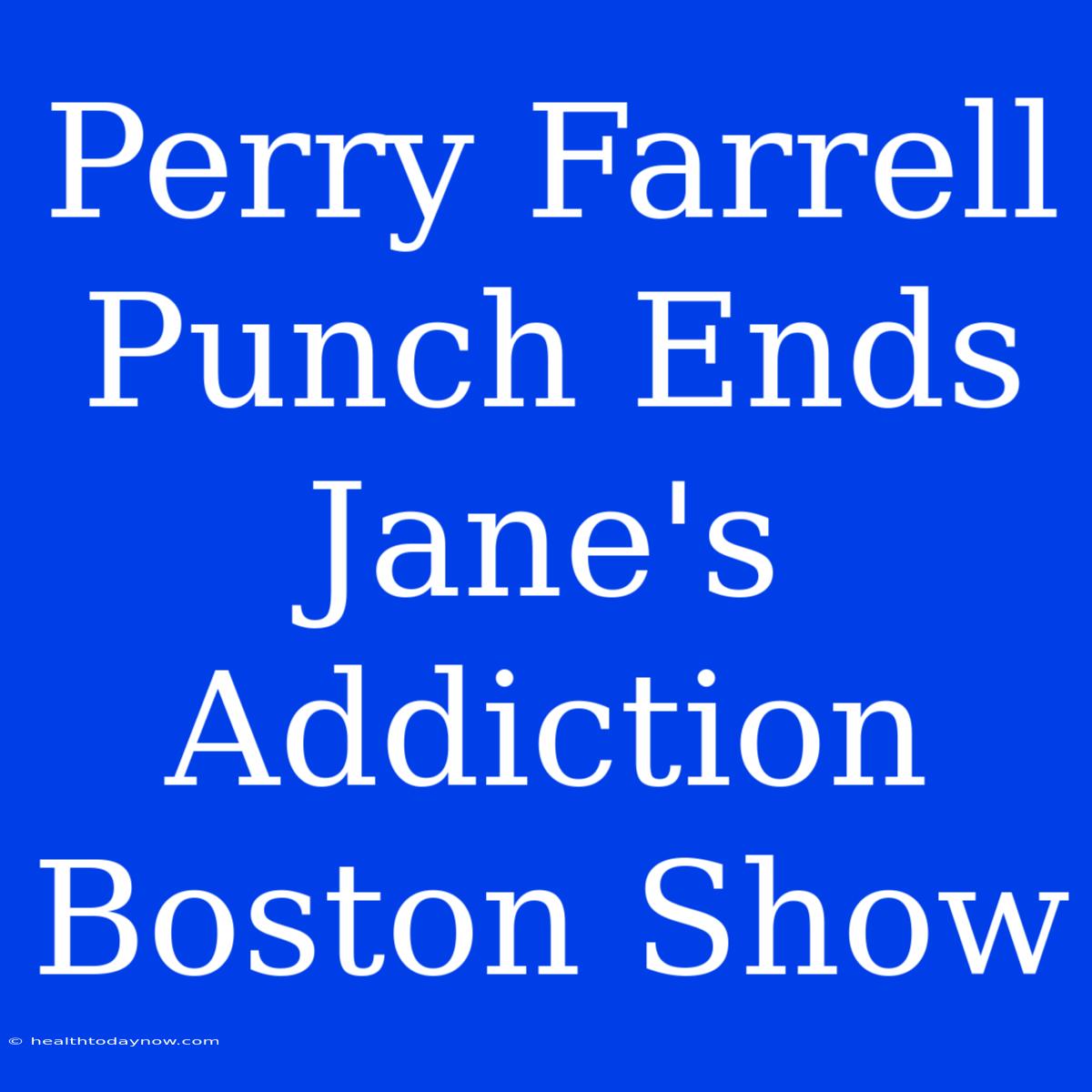 Perry Farrell Punch Ends Jane's Addiction Boston Show