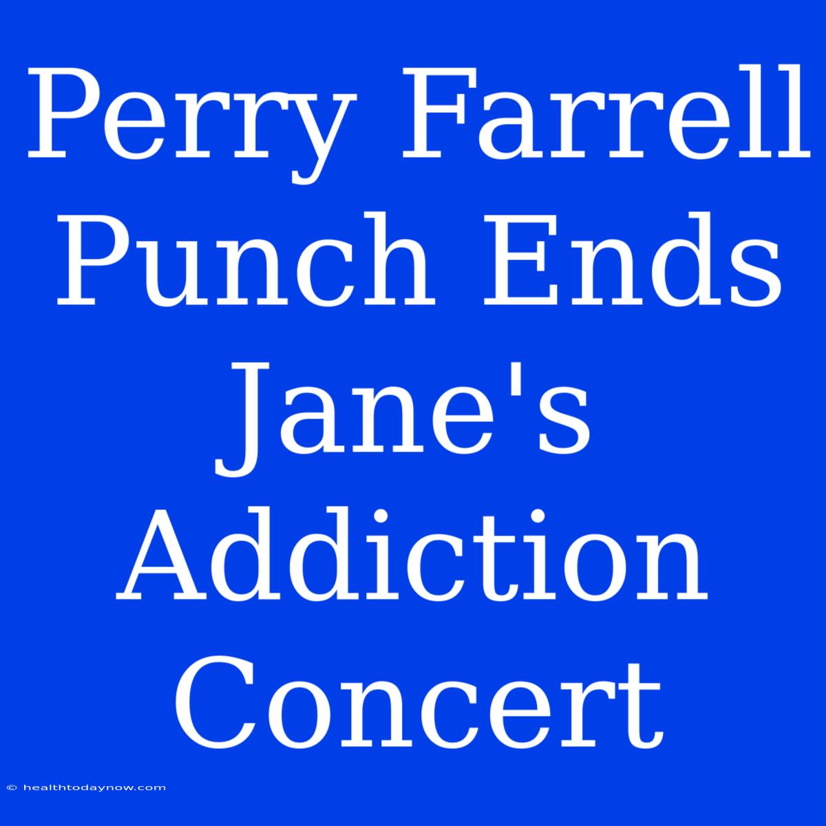 Perry Farrell Punch Ends Jane's Addiction Concert