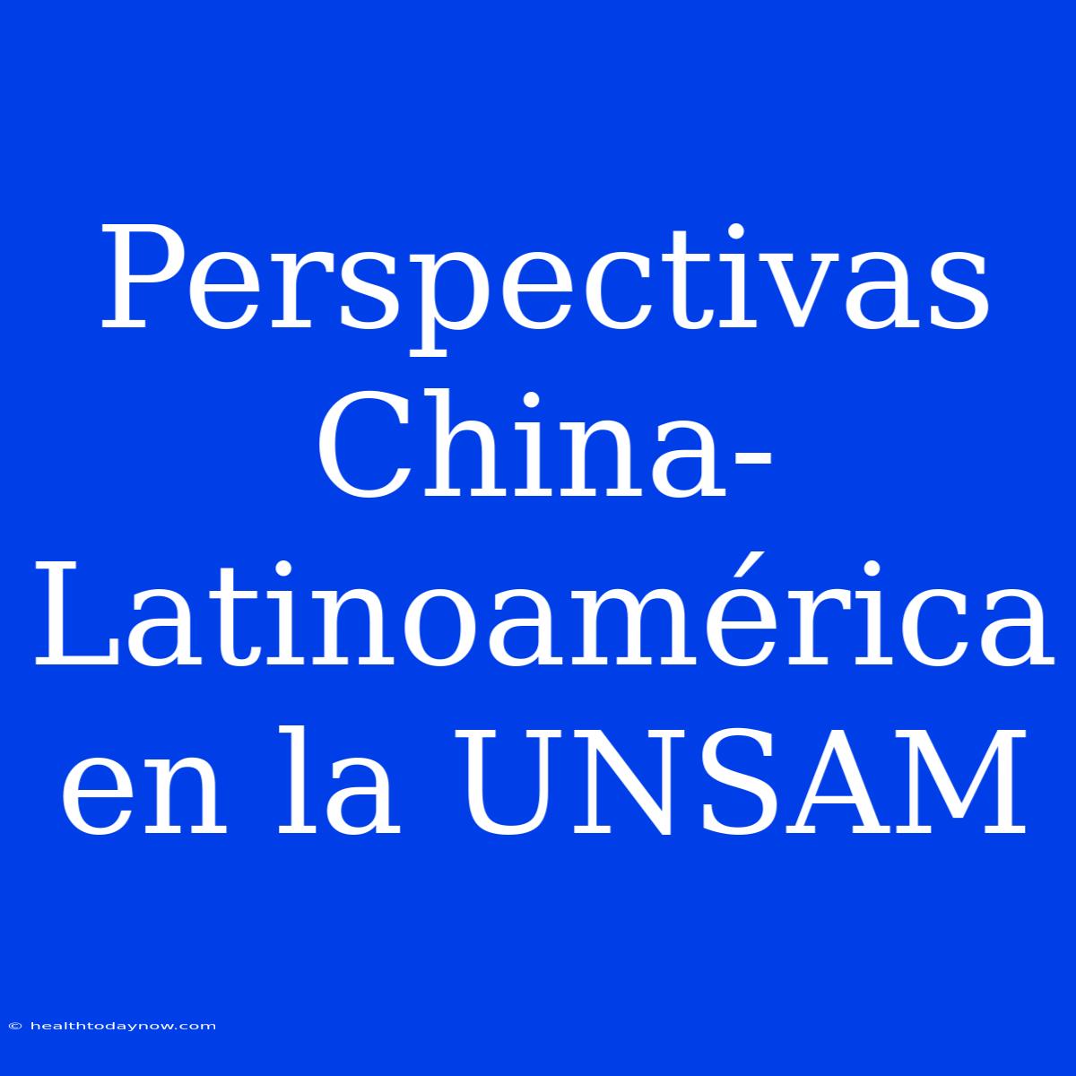 Perspectivas China-Latinoamérica En La UNSAM 