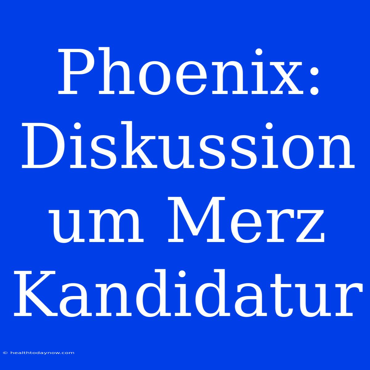 Phoenix: Diskussion Um Merz Kandidatur