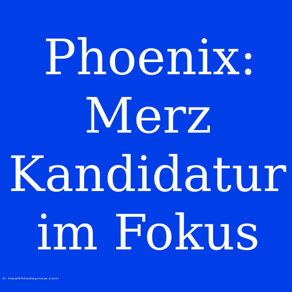 Phoenix: Merz Kandidatur Im Fokus