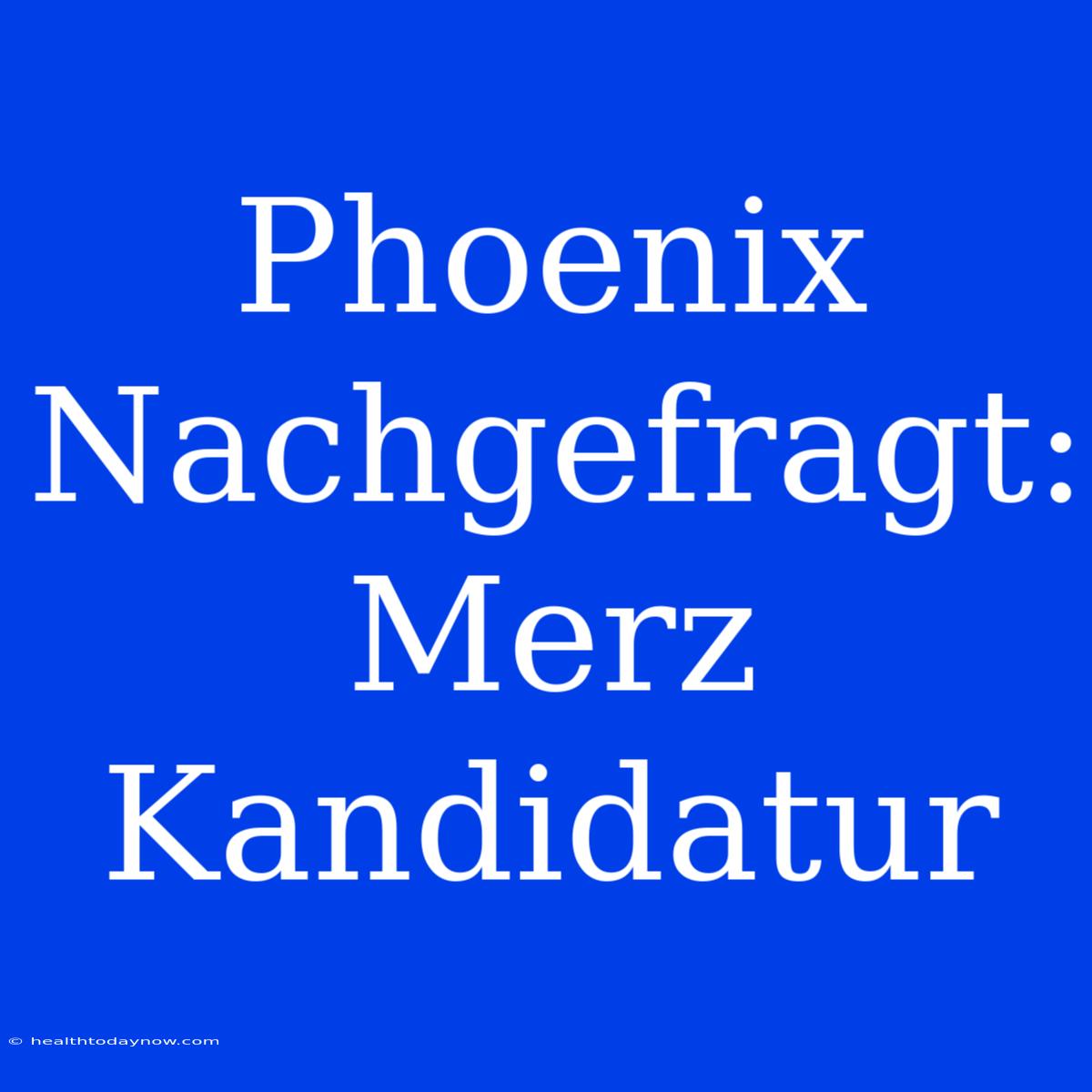 Phoenix Nachgefragt: Merz Kandidatur