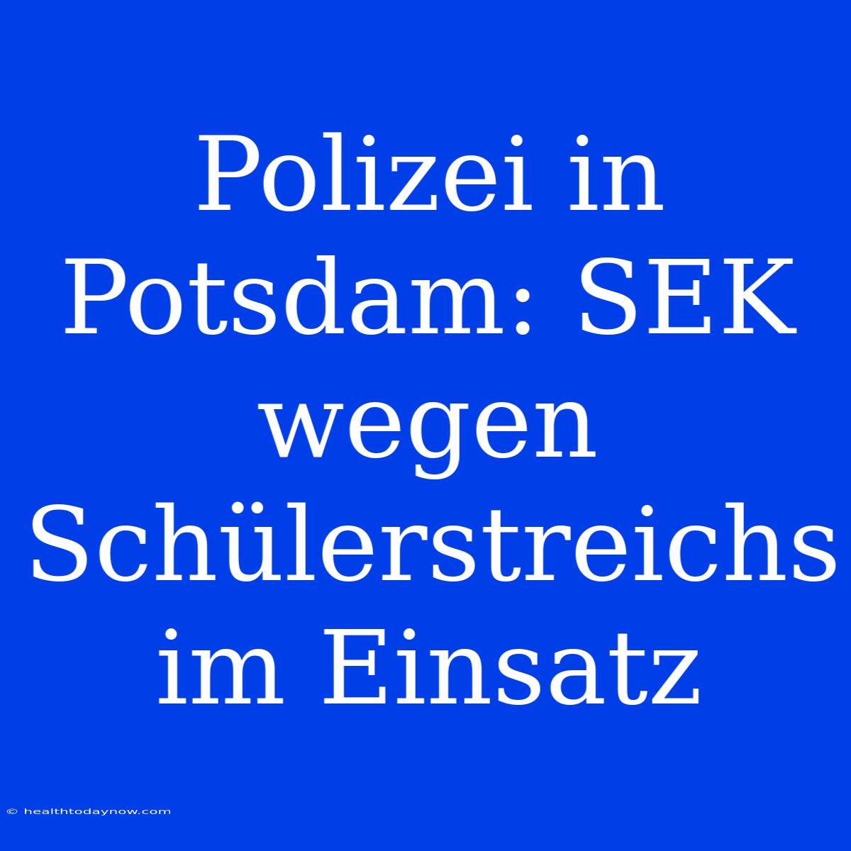 Polizei In Potsdam: SEK Wegen Schülerstreichs Im Einsatz