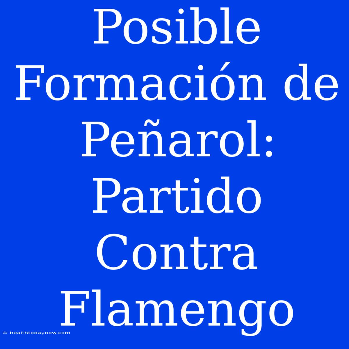 Posible Formación De Peñarol: Partido Contra Flamengo