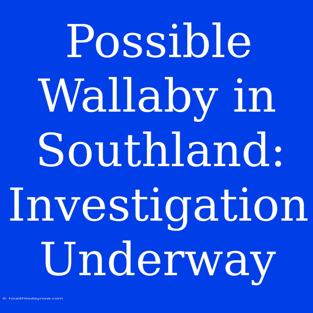 Possible Wallaby In Southland: Investigation Underway