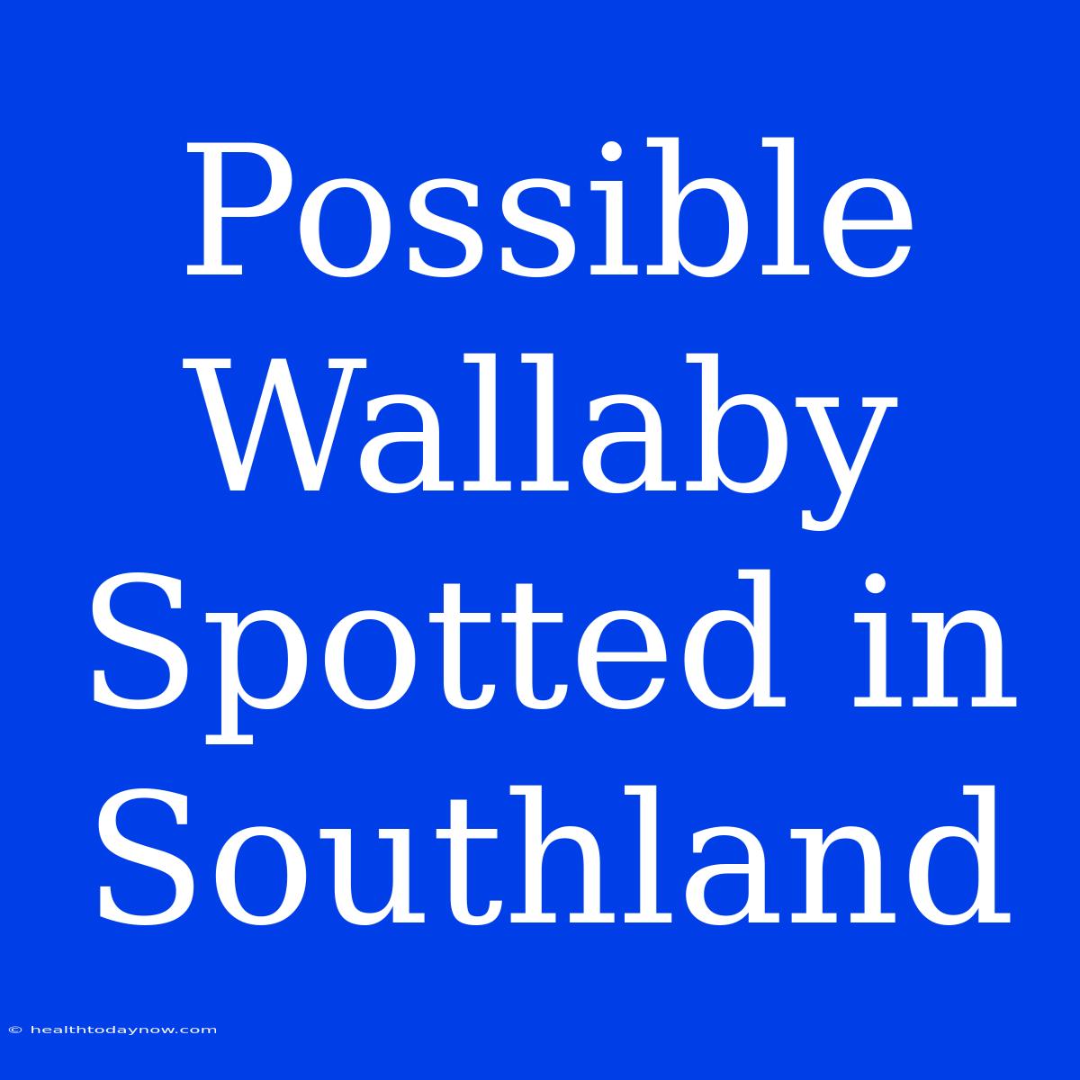 Possible Wallaby Spotted In Southland