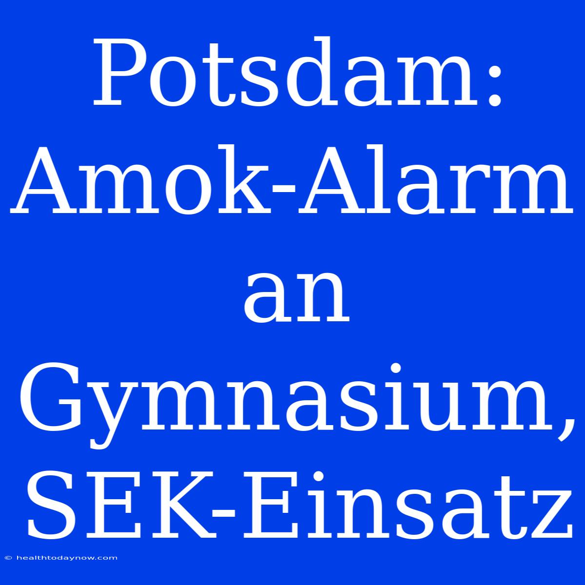 Potsdam: Amok-Alarm An Gymnasium, SEK-Einsatz