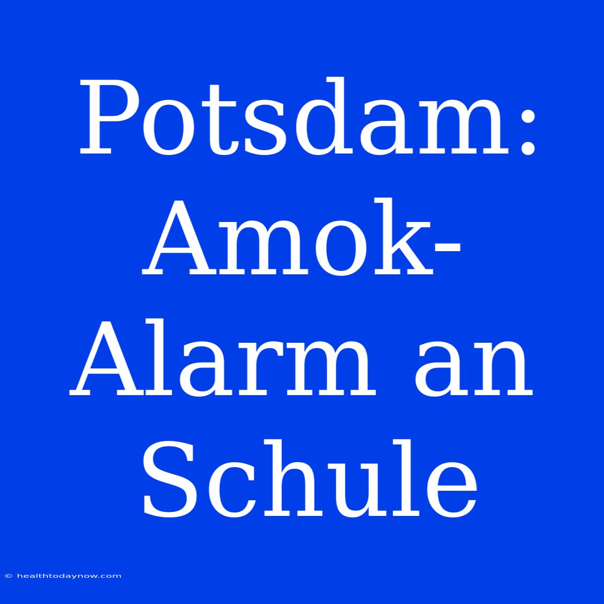 Potsdam: Amok-Alarm An Schule 