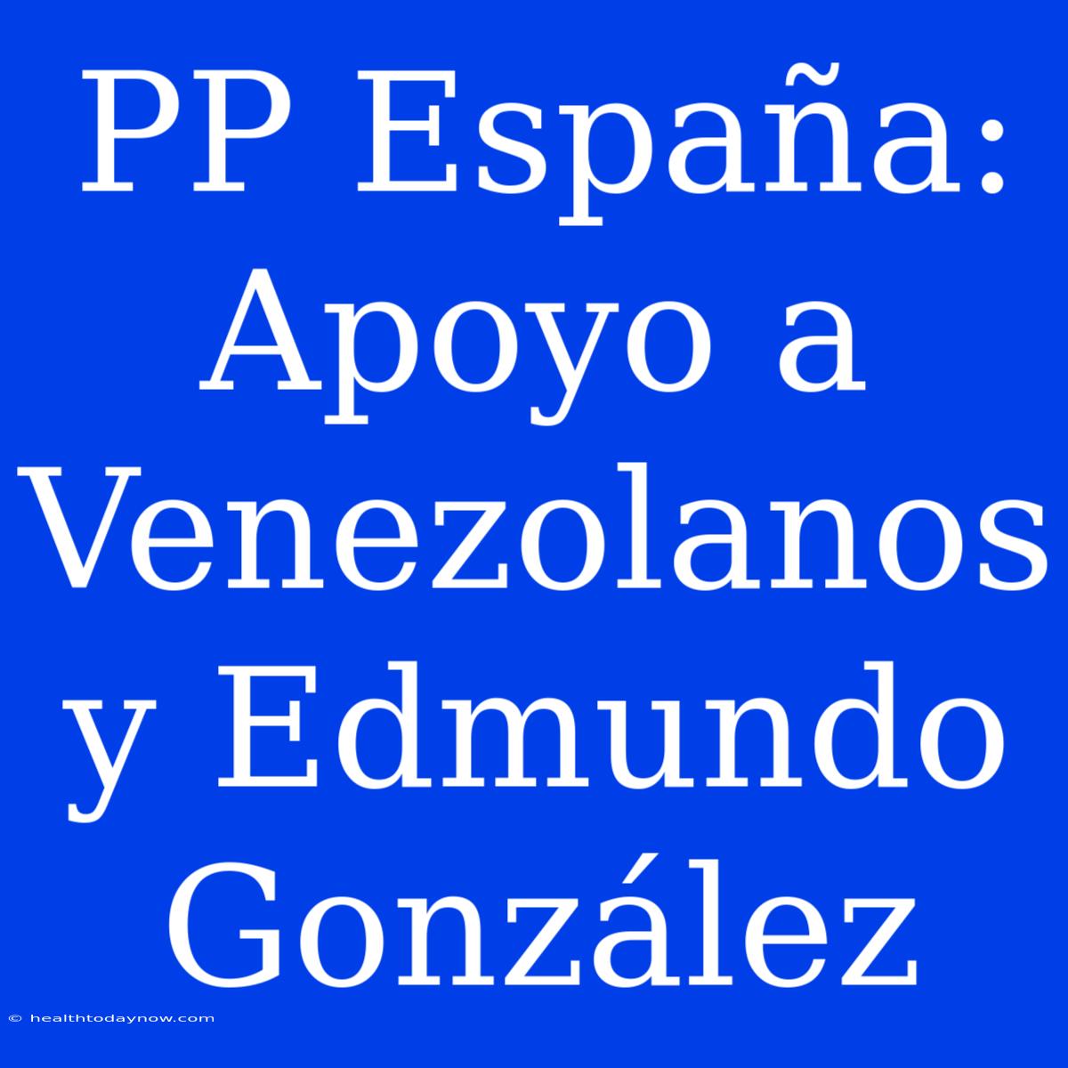 PP España: Apoyo A Venezolanos Y Edmundo González