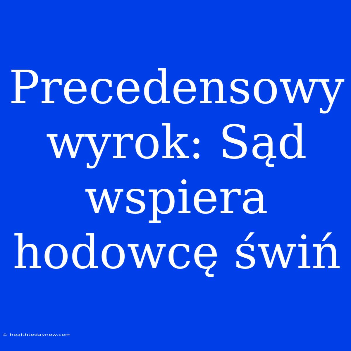 Precedensowy Wyrok: Sąd Wspiera Hodowcę Świń