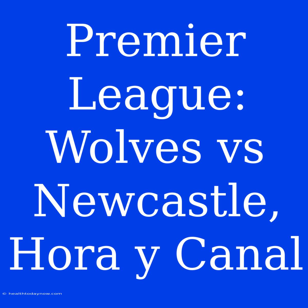 Premier League: Wolves Vs Newcastle, Hora Y Canal