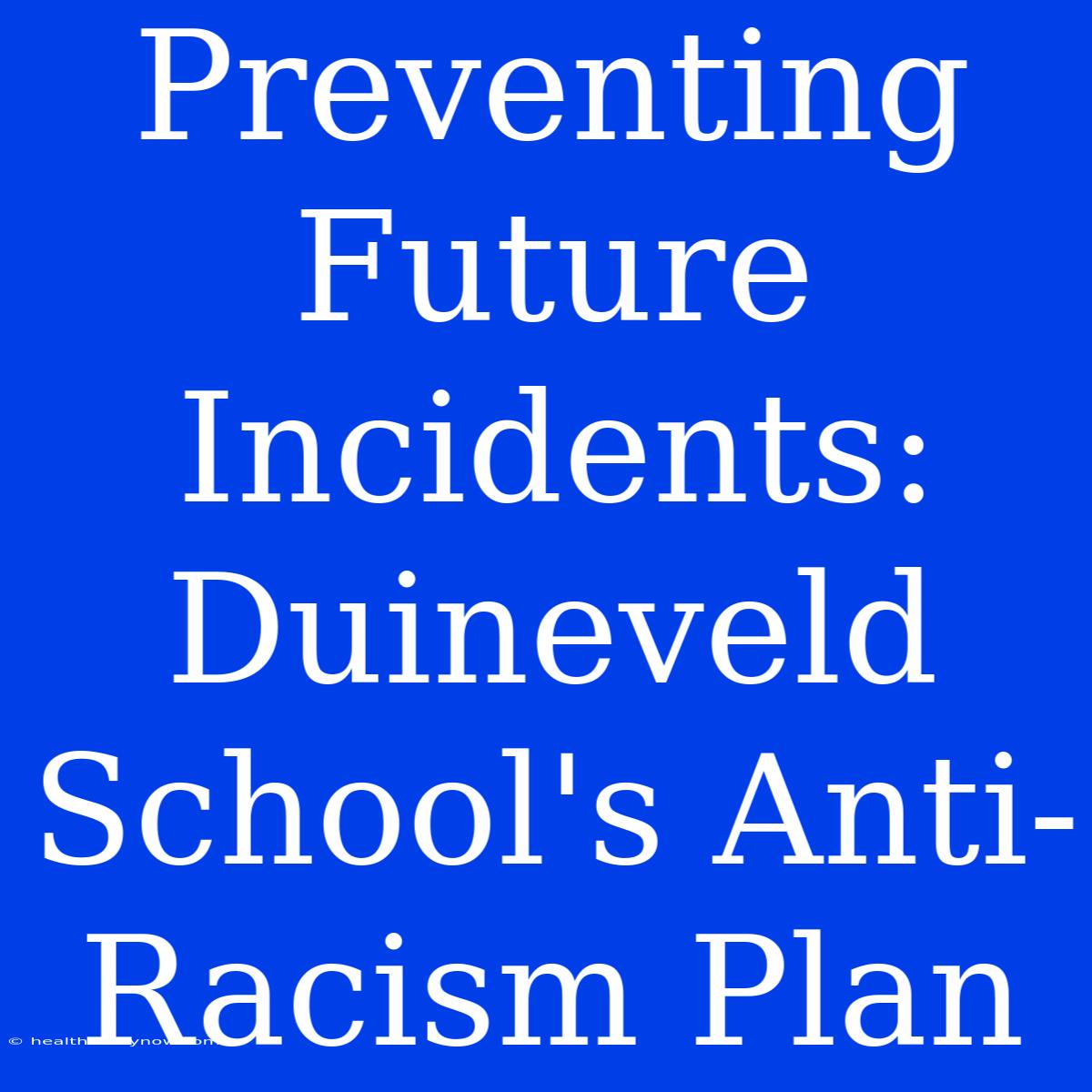 Preventing Future Incidents: Duineveld School's Anti-Racism Plan 