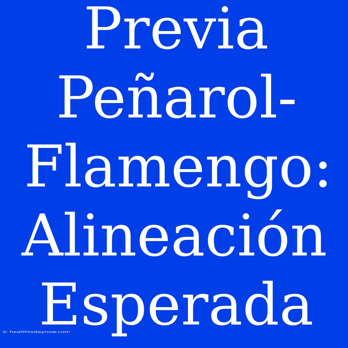 Previa Peñarol-Flamengo: Alineación Esperada