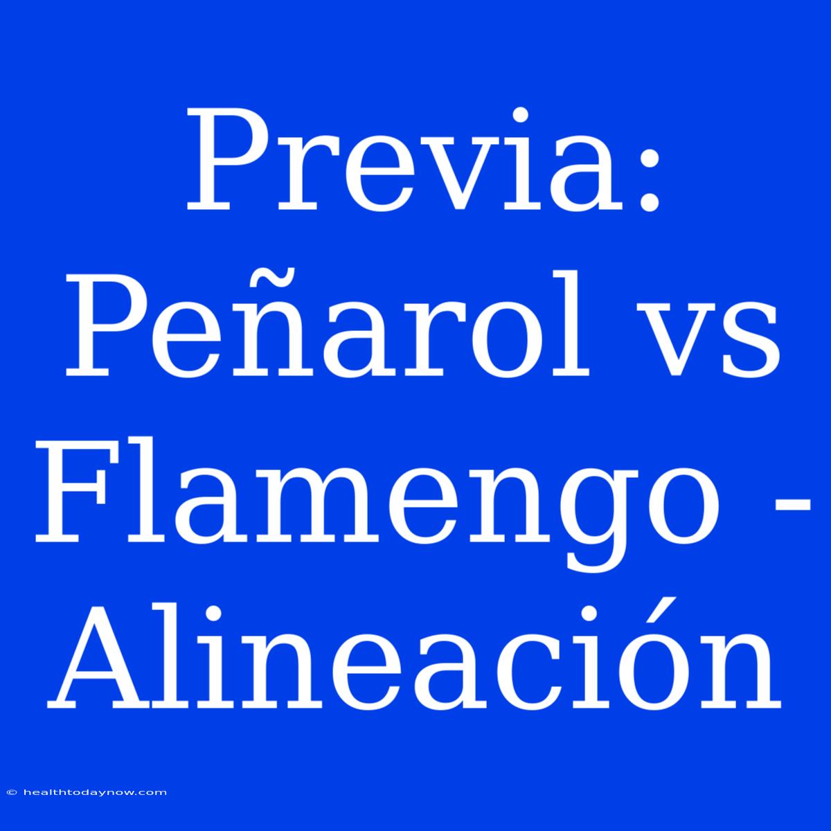 Previa: Peñarol Vs Flamengo - Alineación