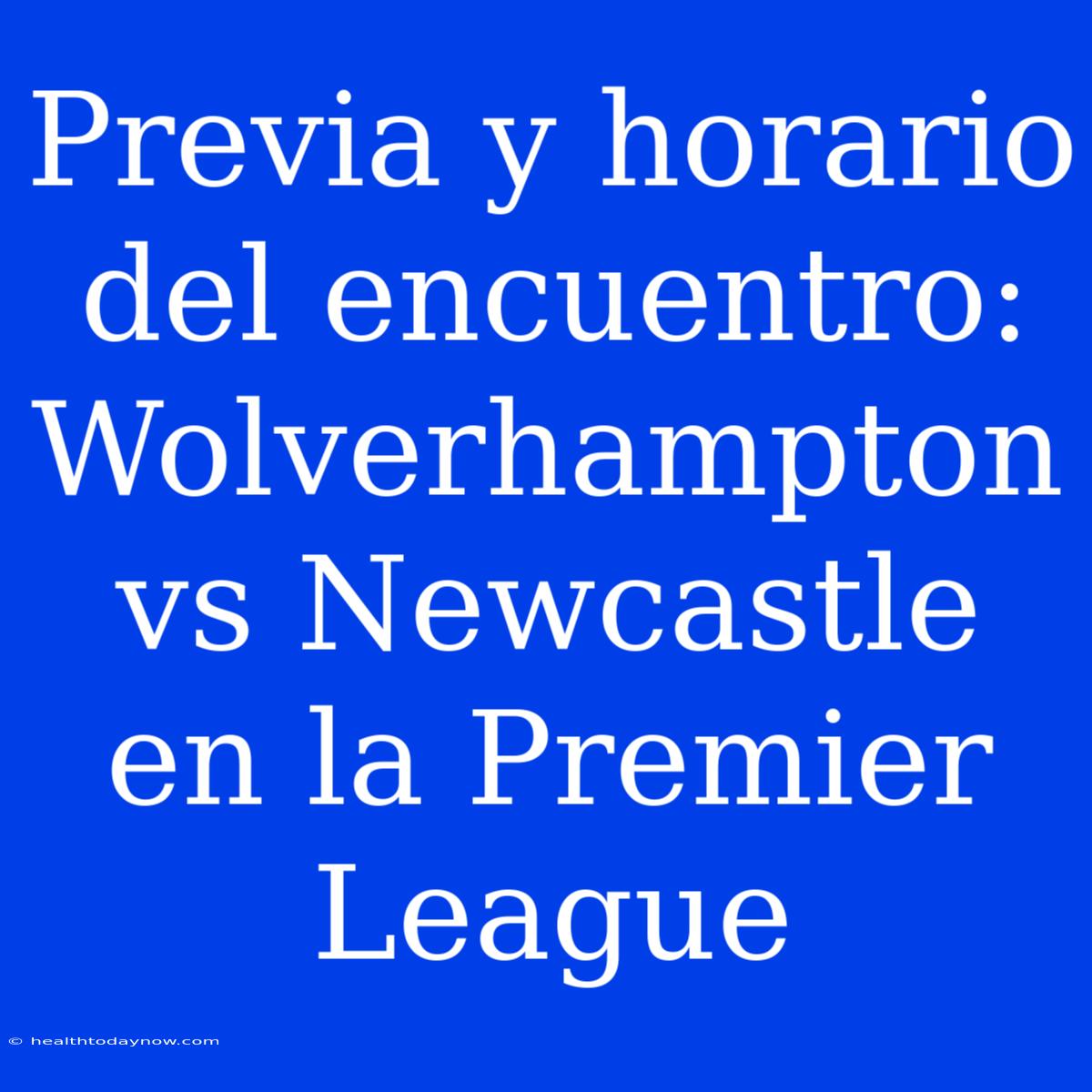 Previa Y Horario Del Encuentro: Wolverhampton Vs Newcastle En La Premier League