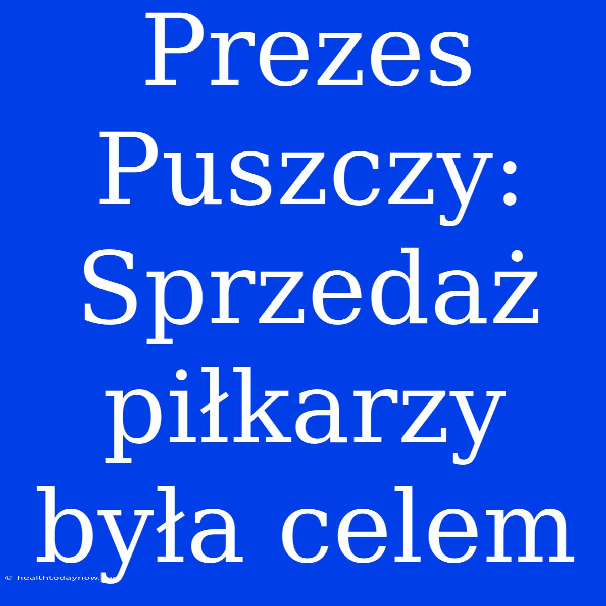 Prezes Puszczy: Sprzedaż Piłkarzy Była Celem