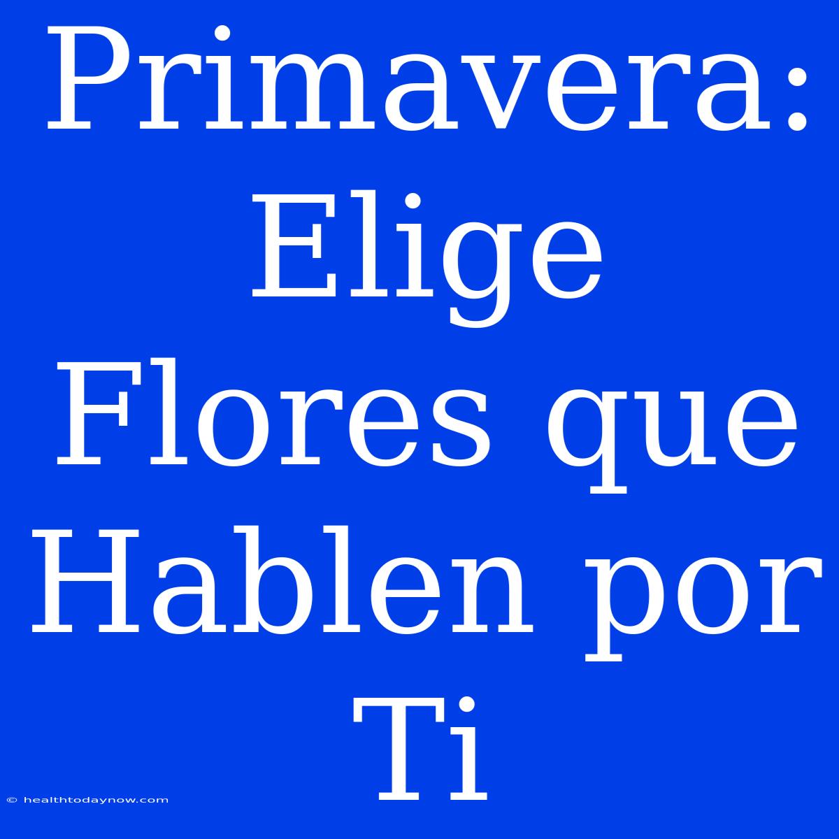 Primavera: Elige Flores Que Hablen Por Ti