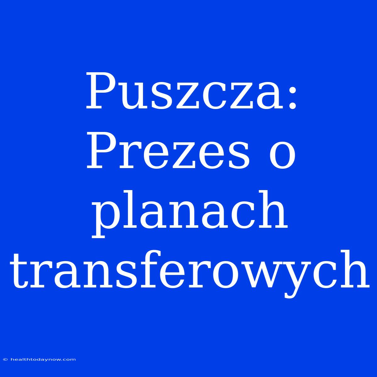 Puszcza: Prezes O Planach Transferowych