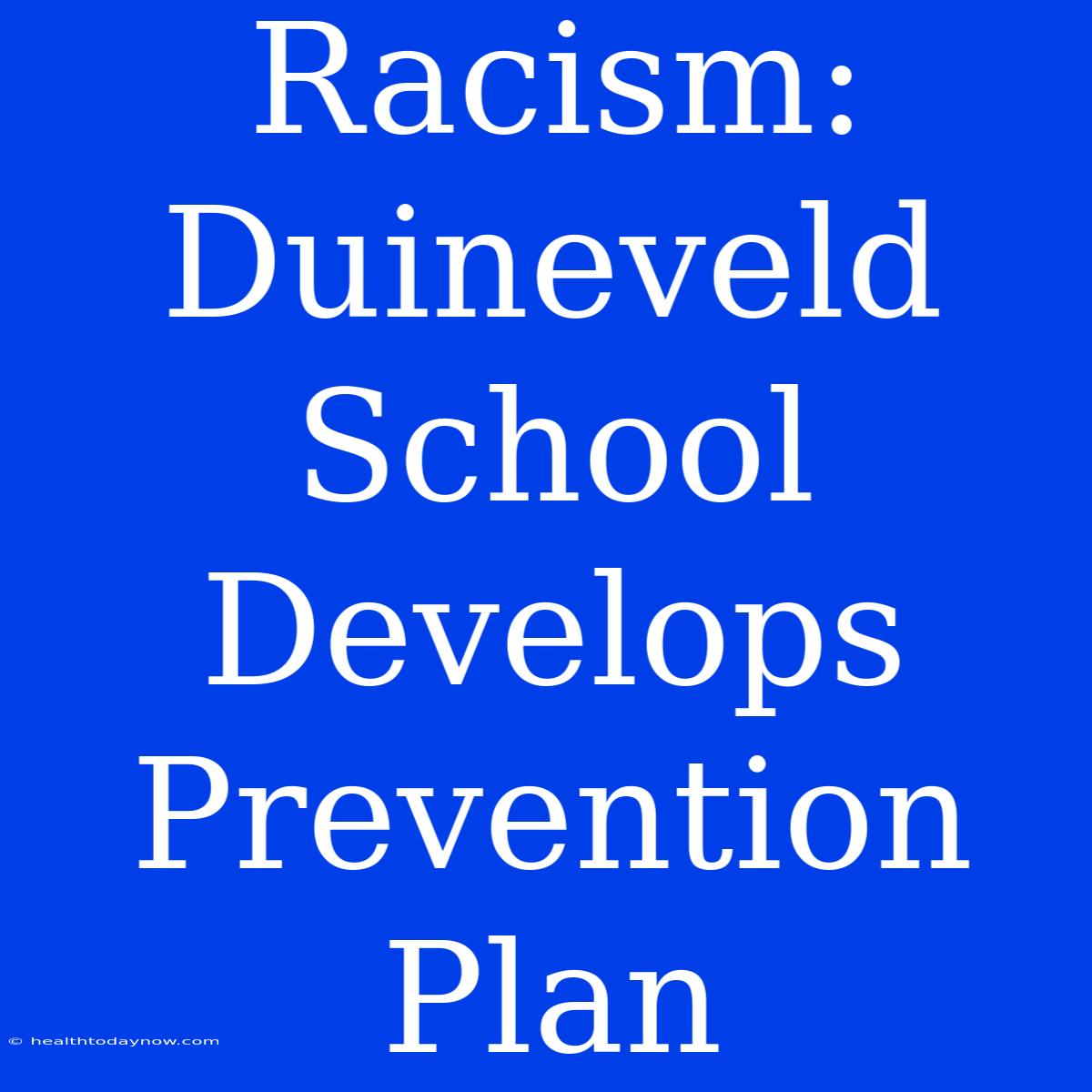 Racism: Duineveld School Develops Prevention Plan 