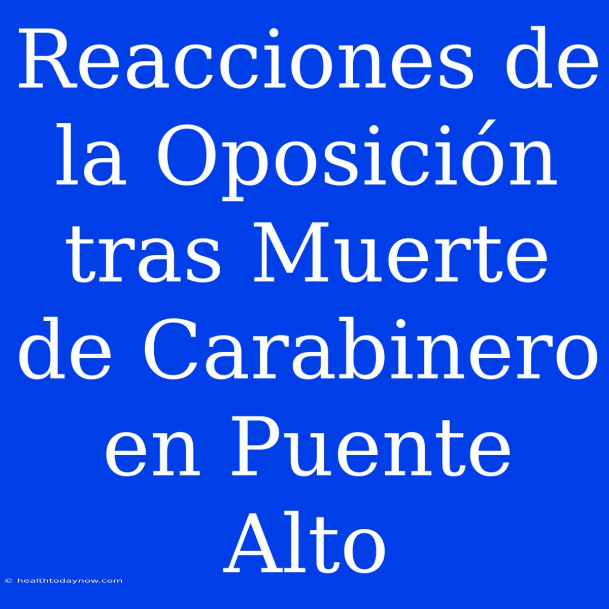 Reacciones De La Oposición Tras Muerte De Carabinero En Puente Alto