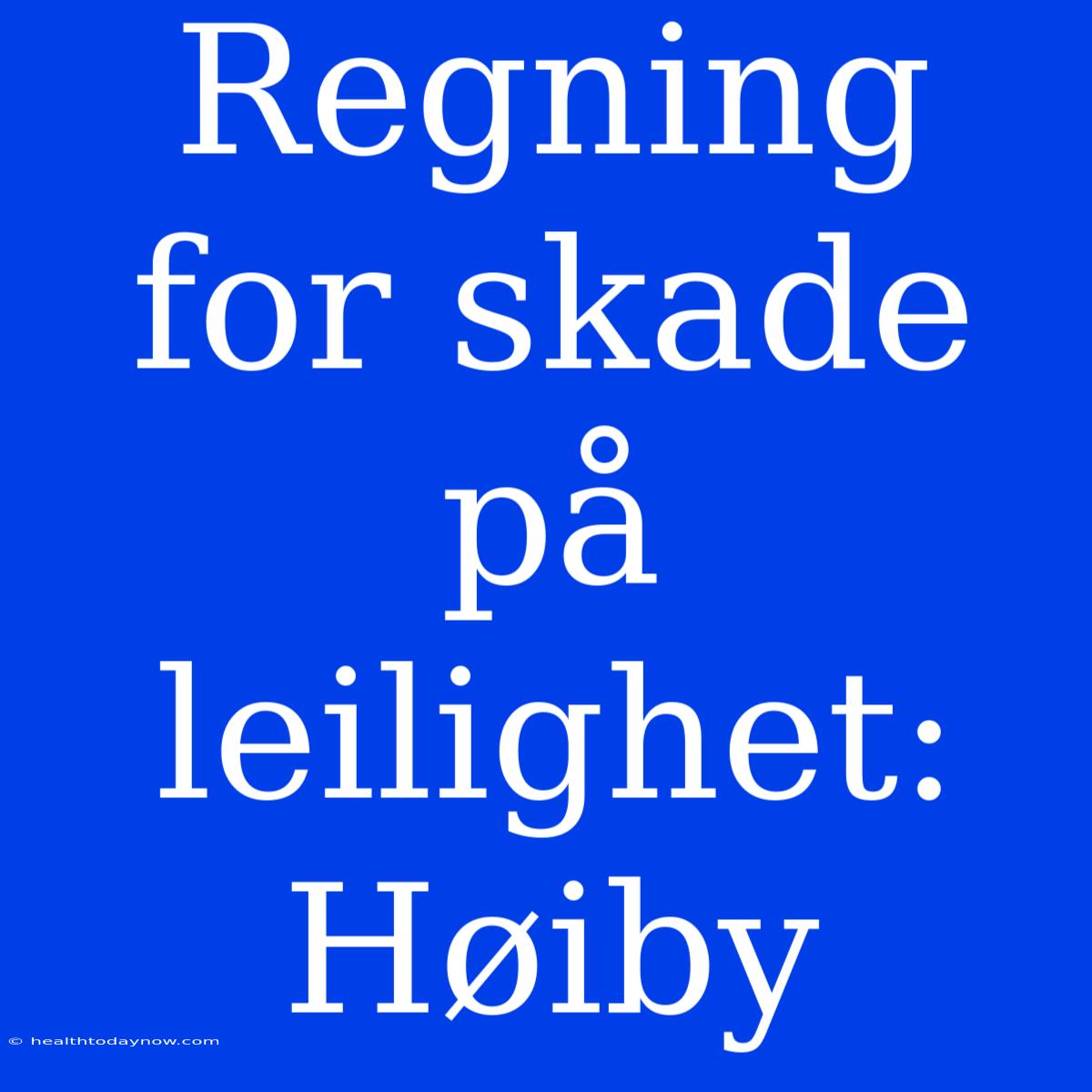 Regning For Skade På Leilighet: Høiby