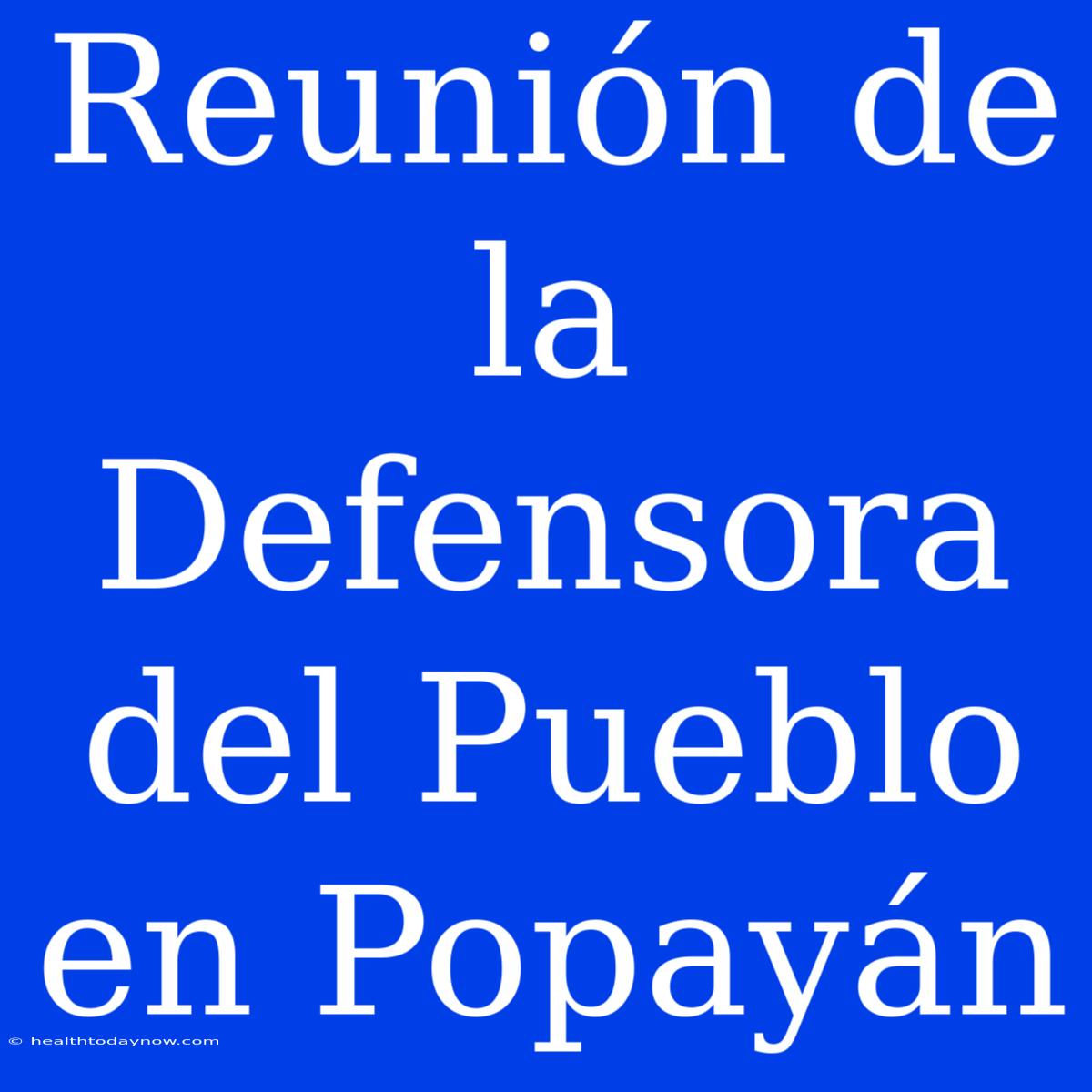 Reunión De La Defensora Del Pueblo En Popayán