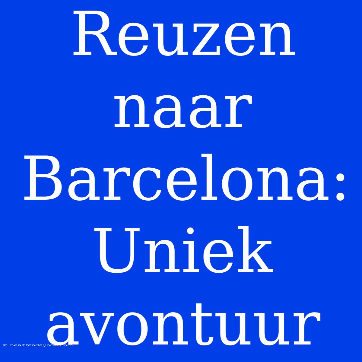 Reuzen Naar Barcelona: Uniek Avontuur