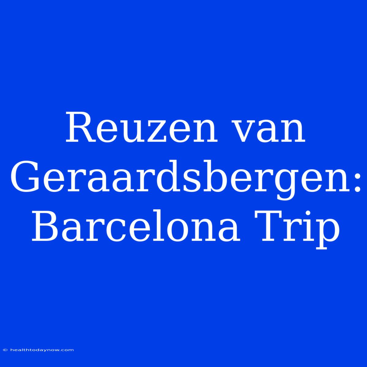 Reuzen Van Geraardsbergen: Barcelona Trip