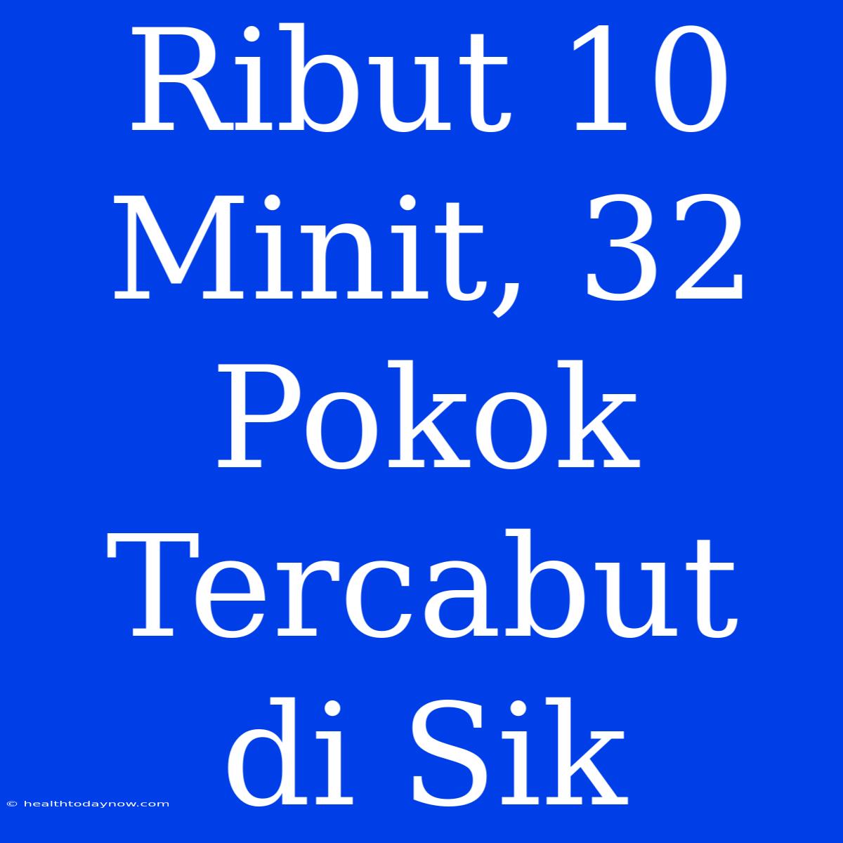 Ribut 10 Minit, 32 Pokok Tercabut Di Sik