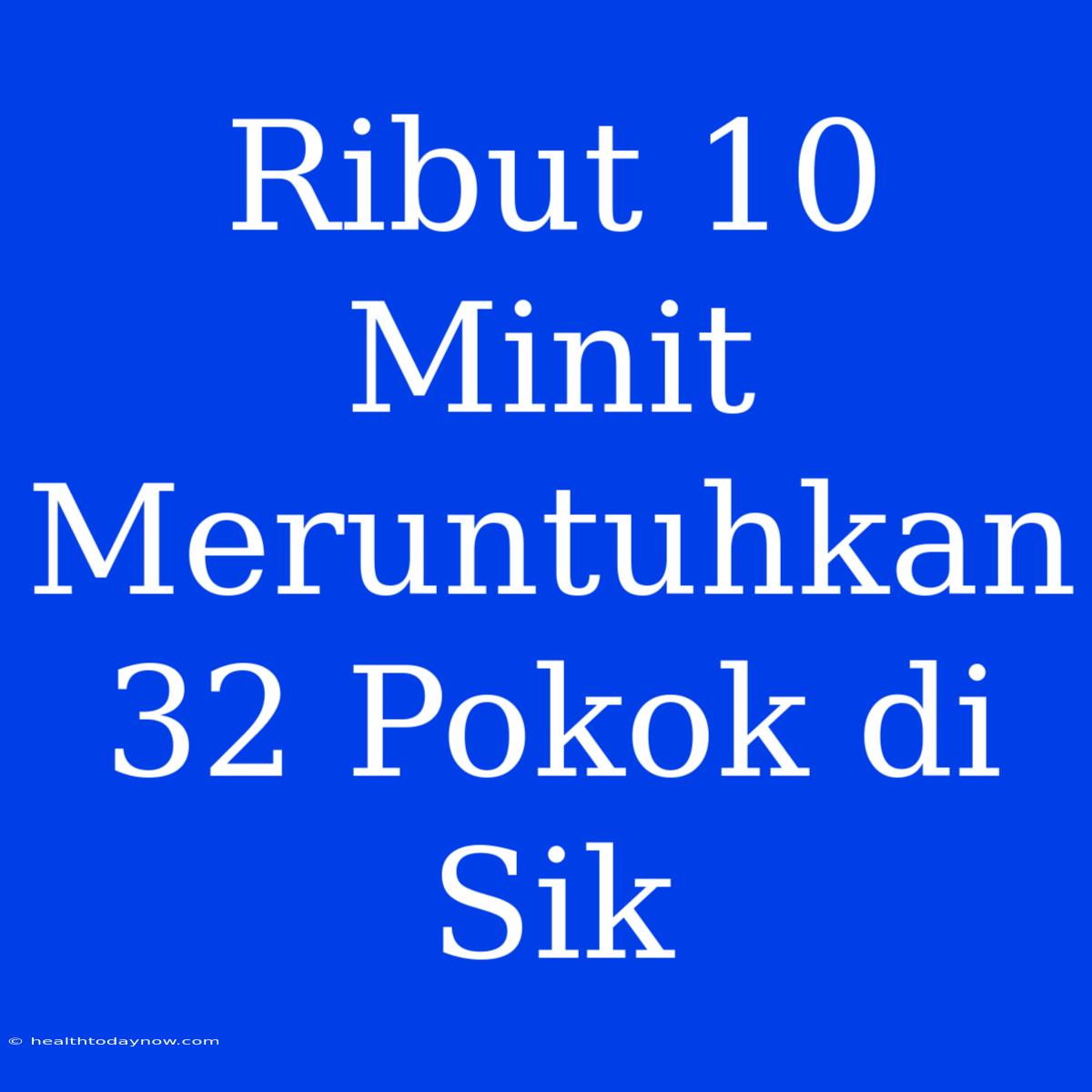 Ribut 10 Minit Meruntuhkan 32 Pokok Di Sik