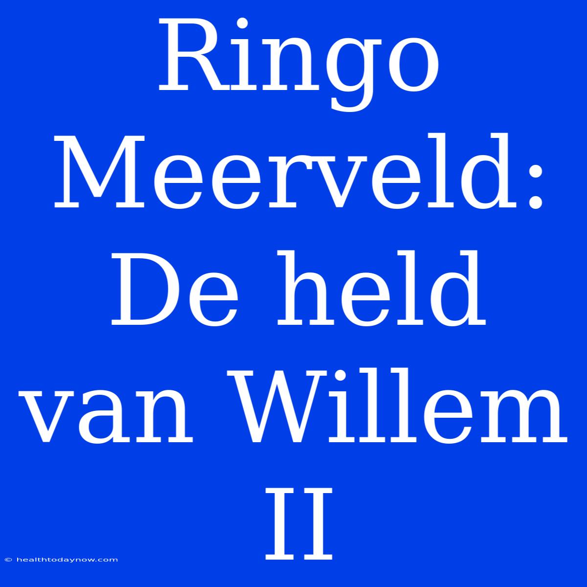 Ringo Meerveld: De Held Van Willem II