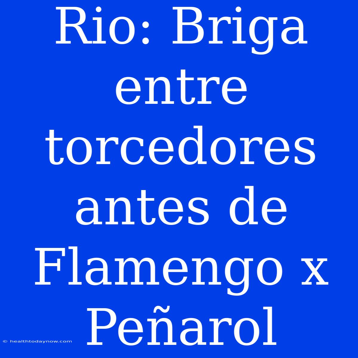 Rio: Briga Entre Torcedores Antes De Flamengo X Peñarol