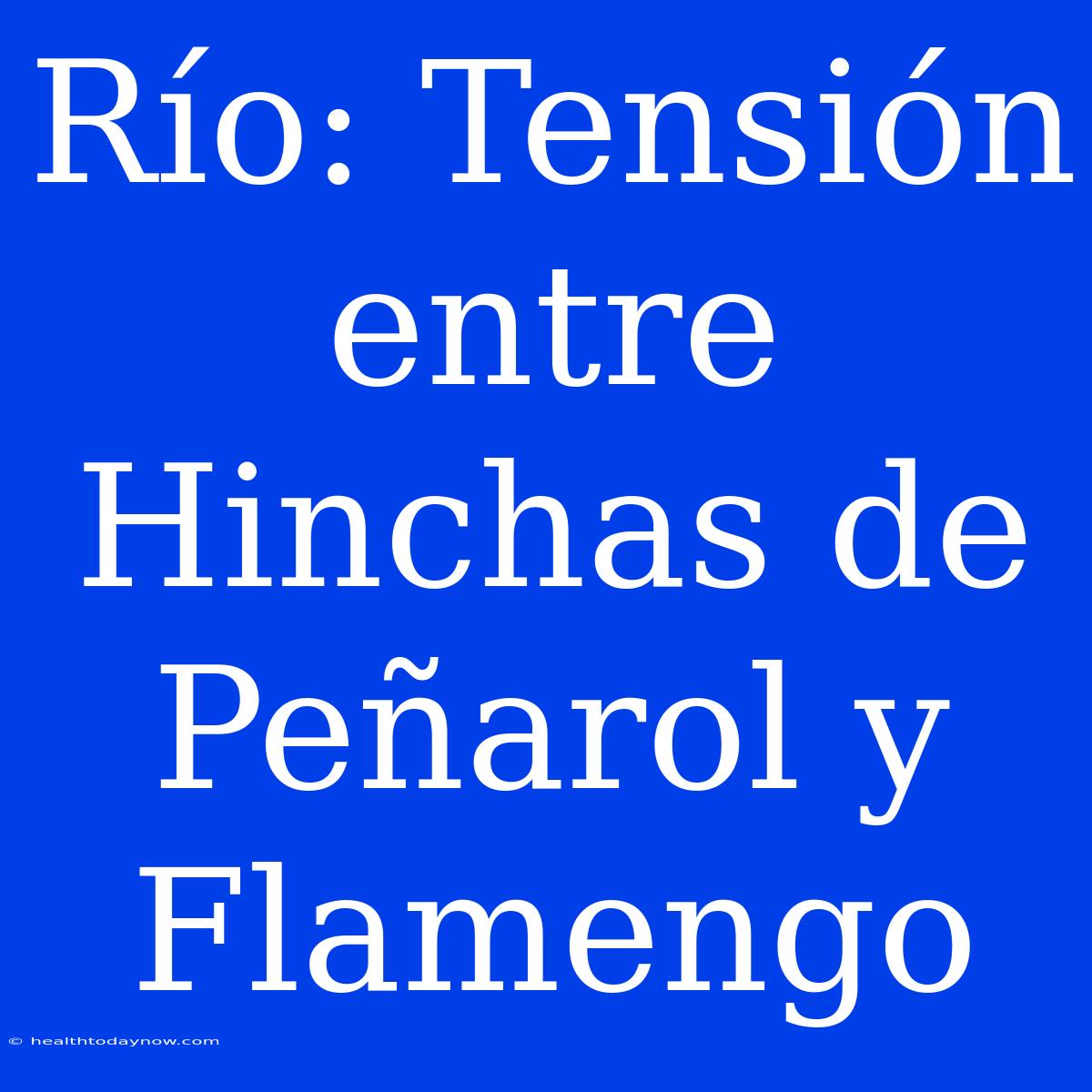 Río: Tensión Entre Hinchas De Peñarol Y Flamengo