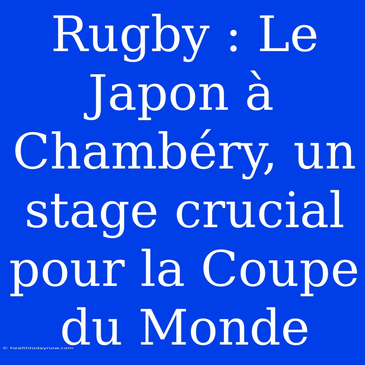 Rugby : Le Japon À Chambéry, Un Stage Crucial Pour La Coupe Du Monde