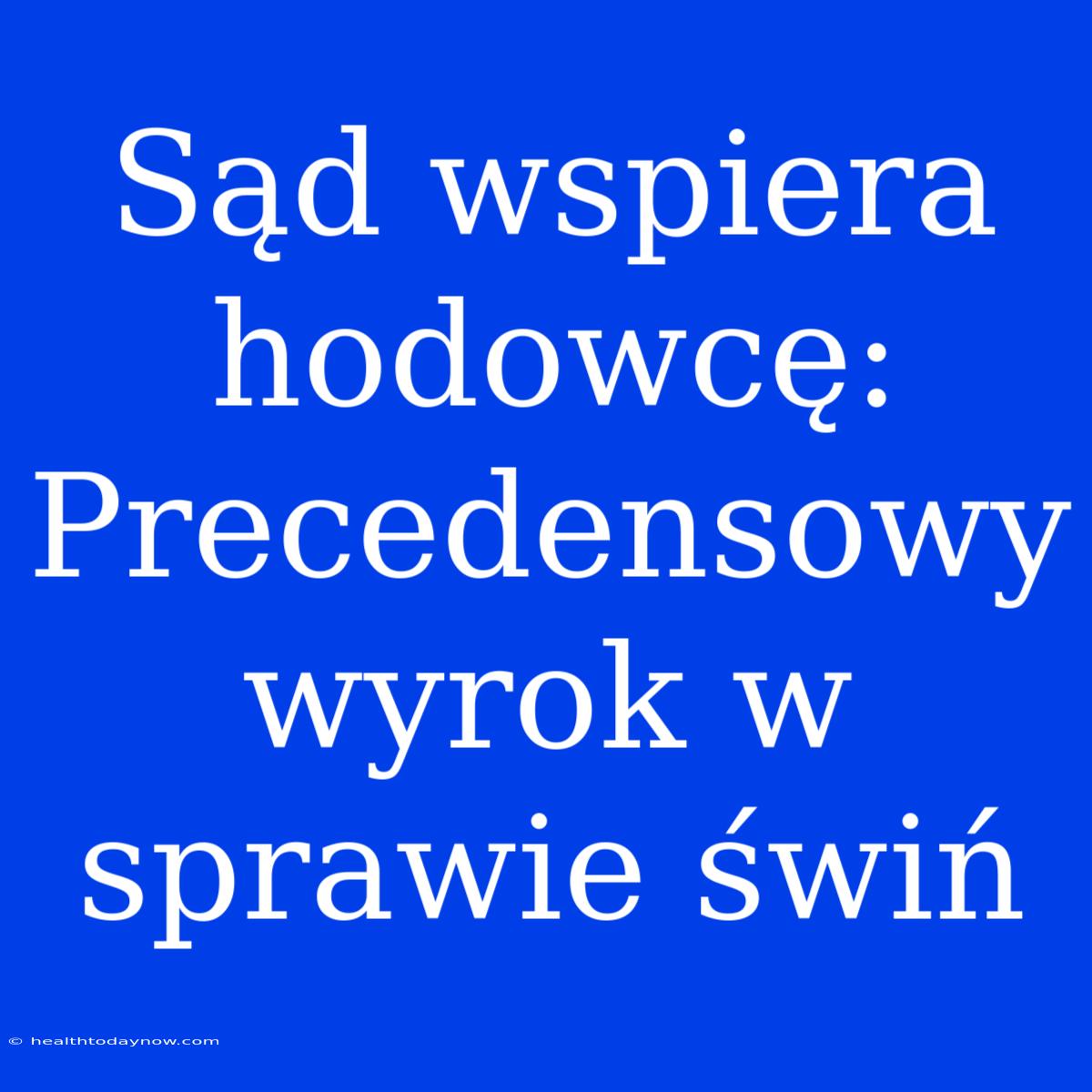 Sąd Wspiera Hodowcę: Precedensowy Wyrok W Sprawie Świń