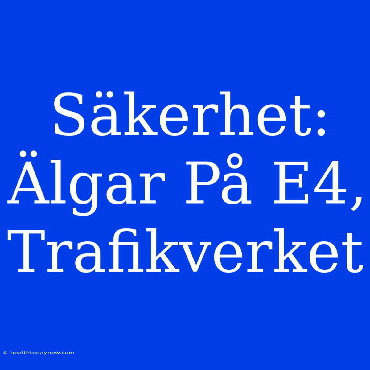 Säkerhet: Älgar På E4, Trafikverket