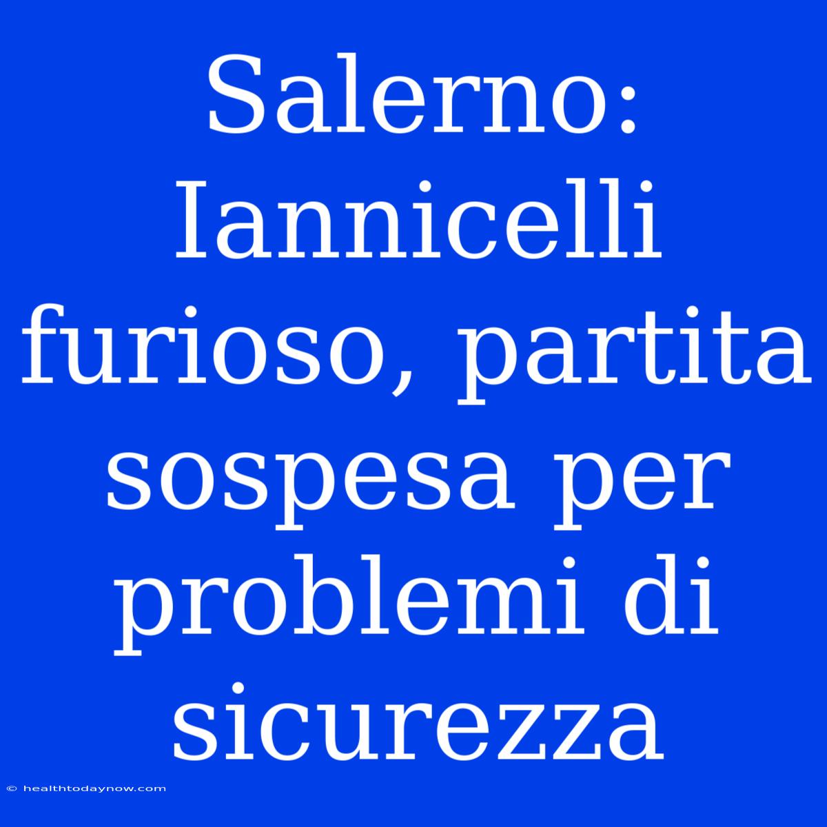 Salerno: Iannicelli Furioso, Partita Sospesa Per Problemi Di Sicurezza