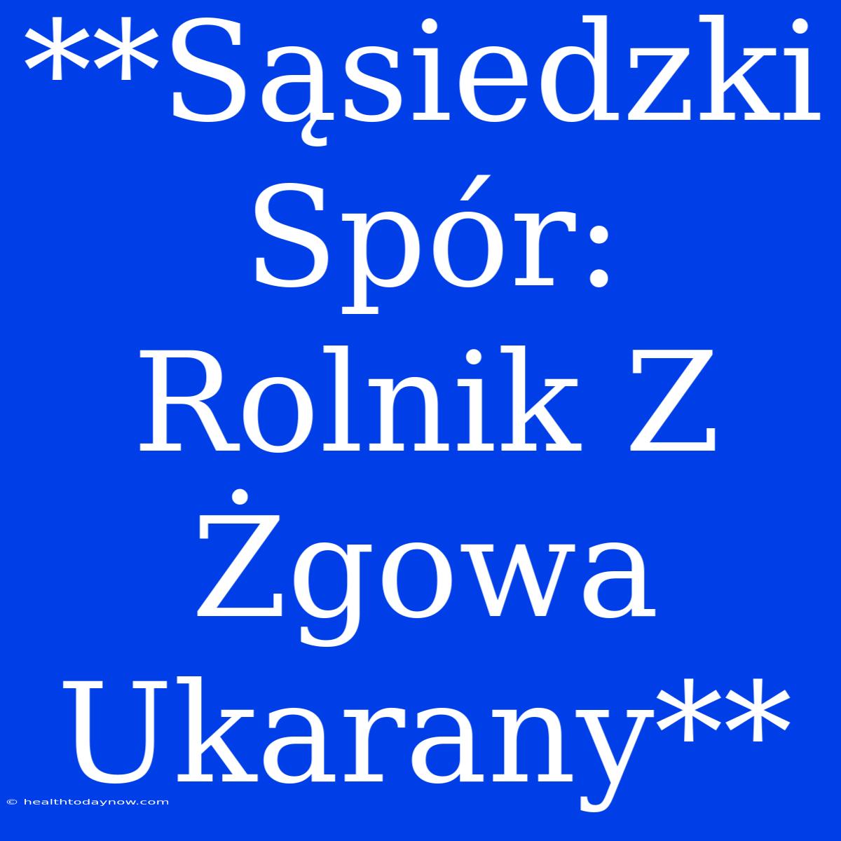 **Sąsiedzki Spór: Rolnik Z Żgowa Ukarany**